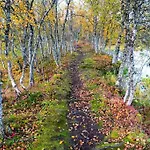 Arctic Retreat - Lovely Next To Amazing Nature * Tromsø