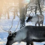 Lägenhet Arctic Retreat - Lovely Next To Amazing Nature *