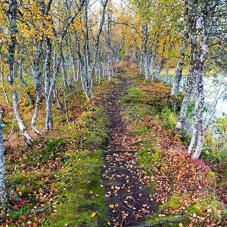 Arctic Retreat - Lovely Next To Amazing Nature * Tromso