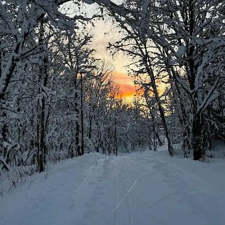 Arctic Retreat - Lovely Next To Amazing Nature
