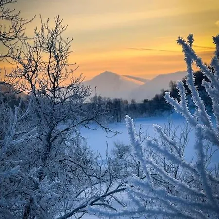 Arctic Retreat - Lovely Next To Amazing Nature *