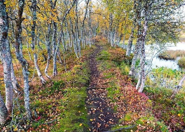 Arctic Retreat - Lovely Next To Amazing Nature * Tromsø
