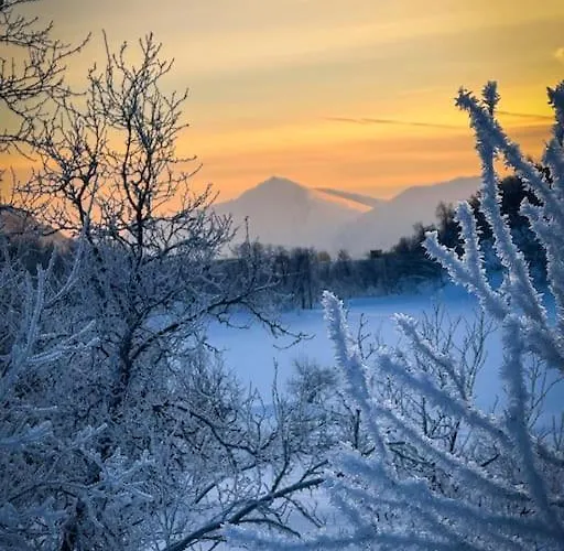 Arctic Retreat - Lovely Next To Amazing Nature *