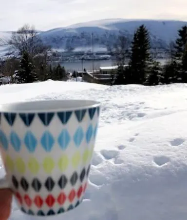 Daire Arctic Retreat - Lovely Next To Amazing Nature