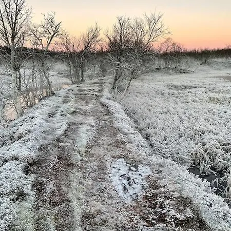 Arctic Retreat - Lovely Next To Amazing Nature Daire